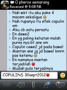 ImageBam image upload