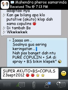 ImageBam image upload