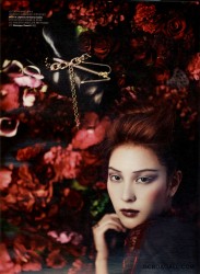 imagebam.com