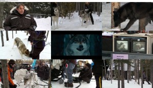 Download The Bourne Legacy (2012) EXTRAS BluRay 720p x264 Ganool 