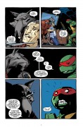Teenage Mutant Ninja Turtles #14 Teenage Mutant Ninja Turtles #14