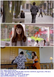 Download The Fierce Wife 2012 DVDRip XviD-CoWRY