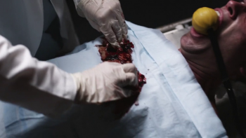 [Kép: 0c00ab239580135.jpg]