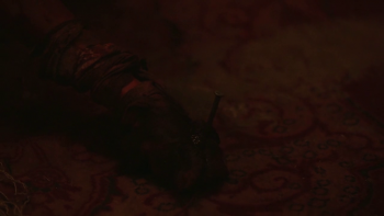 [Kép: 556a19239580123.jpg]