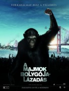 Восстание планеты обезьян / Rise of the Planet of the Apes (Джеймс Франко, 2011)  8fca74240366465
