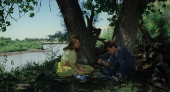 uump4.cc_恶土 Badlands.1973.BluRay.720p.AC3.x264-CHD 3.5G