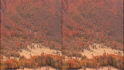 Vision Of Nature (2011) 3D.BluRay.HSBS.1080p.AC3.x264-CHD3D Vision Of Nature (2011) 3D.BluRay.HSBS.1080p.AC3.x264-CHD3D