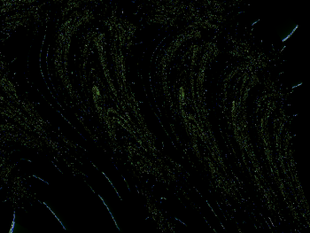 ImageBam image upload