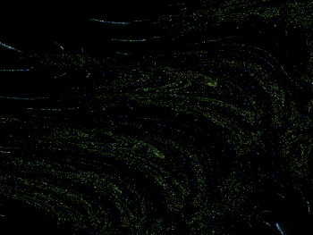 ImageBam image upload