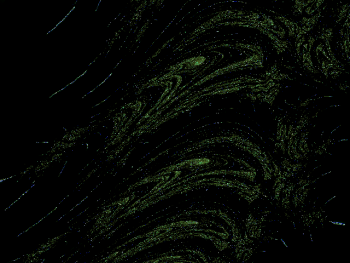 ImageBam image upload