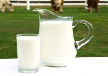susu Susu whole fat - Ist