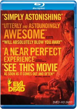 Evil Dead 2013 m720p BluRay x264-BiRD Evil Dead 2013 m720p BluRay x264-BiRD