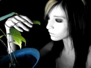 [Image: 2e6516265337373.jpg]