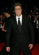 Бенисио Дель Торо (Benicio Del Toro) Cannes Film Festival, 'Sin City' Premiere (19 May 2005) (86xHQ) 9c6b63278578537