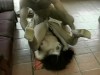 imagebam.com