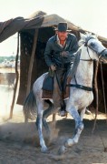 Индиана Джонс: В поисках утраченного ковчега / Raiders of the Lost Ark (1981) - 5xHQ E4ce4e284794522