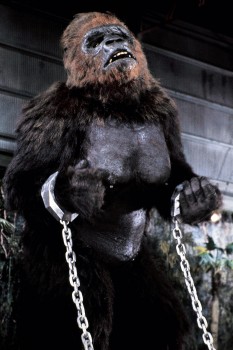 КИНГ КОНГ ЖИВ ! / King Kong lives ! (1986) Линда Гамильтон F5e75c288994591