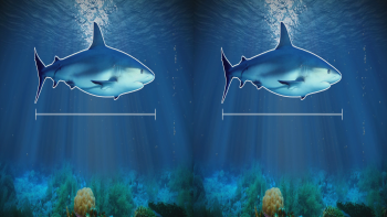 Oceans Predators 3D Half Sbs 2013 Belgesel indir Oceans Predators 3D Half Sbs 2013 Belgesel indir
