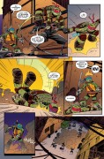 Teenage Mutant Ninja Turtles New Animated Adventures #4