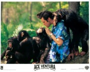 Эйс Вентура 2: Когда зовёт природа / Ace Ventura: When Nature Calls (Джим Керри, 1995) F1e6ed403342180