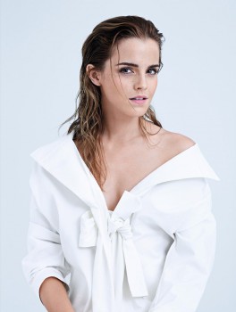 http://thumbnails106.imagebam.com/40340/3a1175403397193.jpg