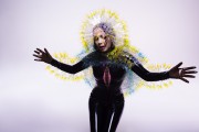 Бьорк (Bjork) Vulnicura retrospective by Inez and Vinood, 08.01.2015 (7xHQ) 5db158406637794